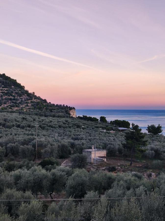 Dimora Mediterranea Mattinata Exterior foto